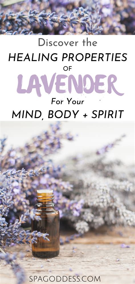 Lavender: The Herb of Peace and Harmony - Unleashing Its Magic for Inner Balance